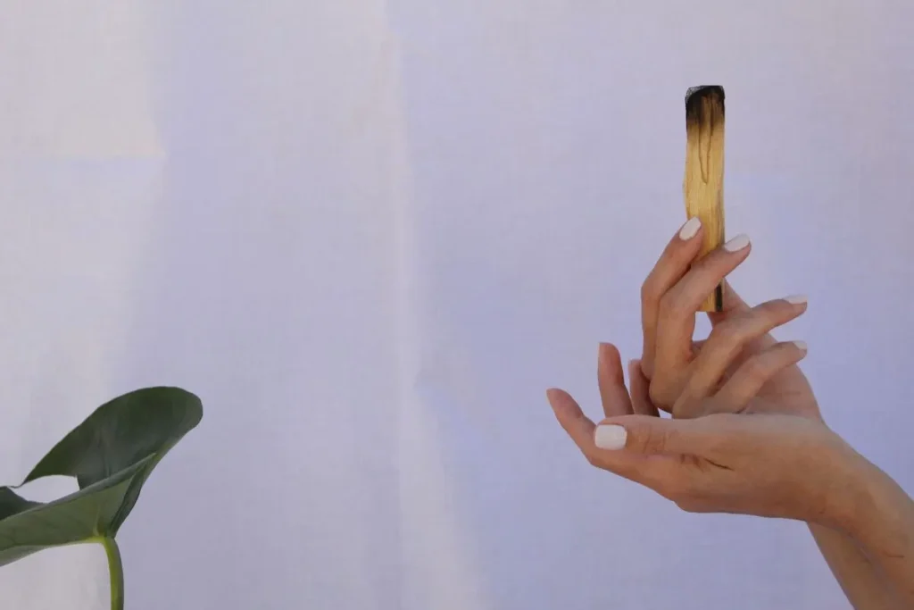 Mãos segurando um pedaço de palo santo queimado para ritual de limpeza energética.